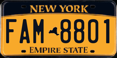 NY license plate FAM8801