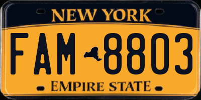 NY license plate FAM8803