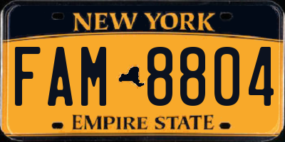NY license plate FAM8804