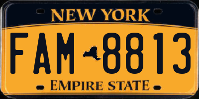 NY license plate FAM8813