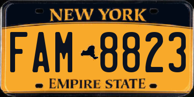 NY license plate FAM8823