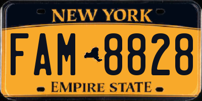 NY license plate FAM8828