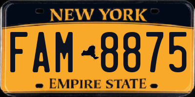 NY license plate FAM8875