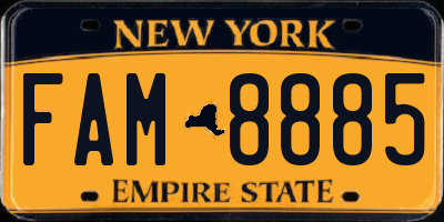 NY license plate FAM8885