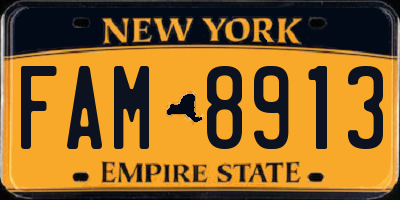 NY license plate FAM8913