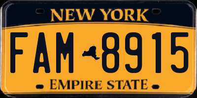 NY license plate FAM8915