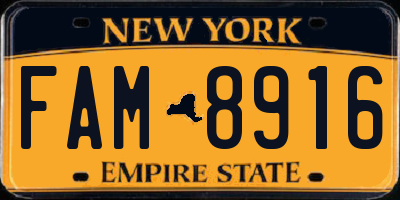 NY license plate FAM8916