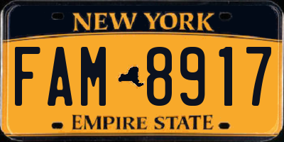 NY license plate FAM8917