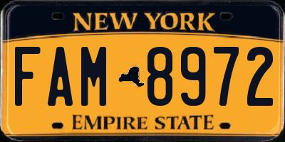 NY license plate FAM8972