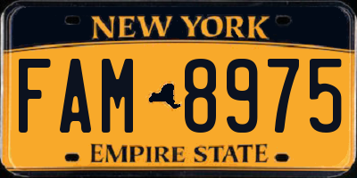 NY license plate FAM8975