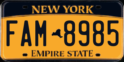 NY license plate FAM8985
