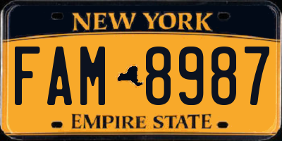 NY license plate FAM8987