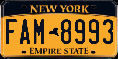 NY license plate FAM8993