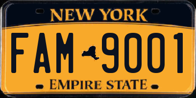 NY license plate FAM9001