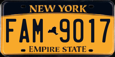 NY license plate FAM9017