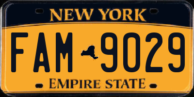 NY license plate FAM9029
