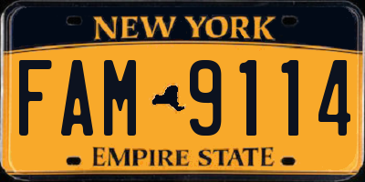 NY license plate FAM9114