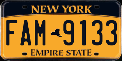 NY license plate FAM9133