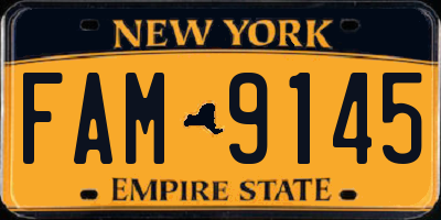 NY license plate FAM9145