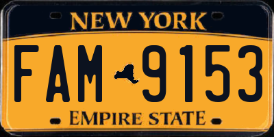 NY license plate FAM9153