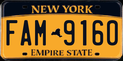 NY license plate FAM9160