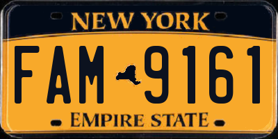 NY license plate FAM9161