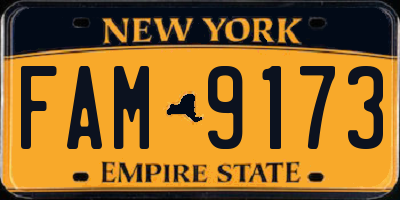 NY license plate FAM9173