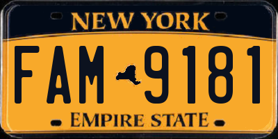 NY license plate FAM9181