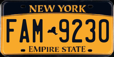 NY license plate FAM9230