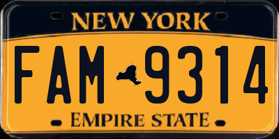 NY license plate FAM9314