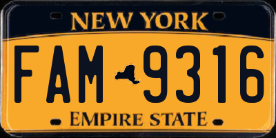 NY license plate FAM9316