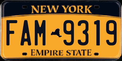 NY license plate FAM9319