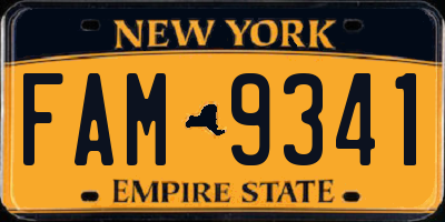 NY license plate FAM9341