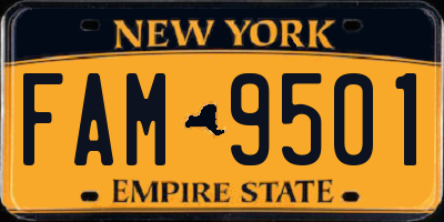 NY license plate FAM9501