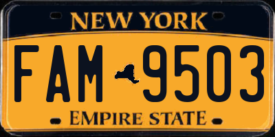 NY license plate FAM9503