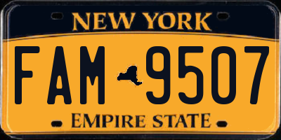 NY license plate FAM9507
