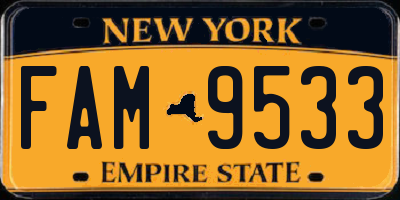 NY license plate FAM9533