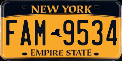 NY license plate FAM9534