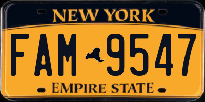 NY license plate FAM9547