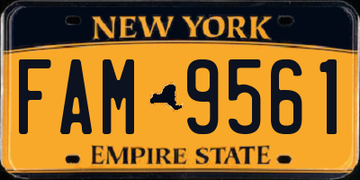 NY license plate FAM9561
