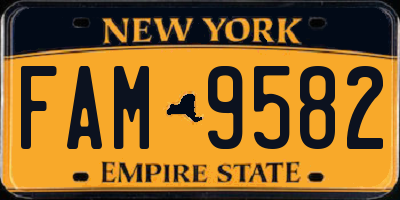 NY license plate FAM9582
