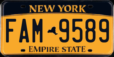 NY license plate FAM9589