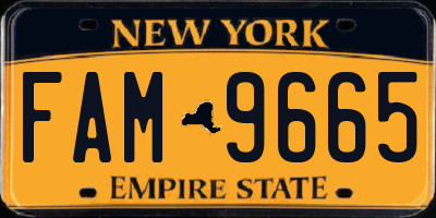 NY license plate FAM9665
