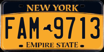 NY license plate FAM9713