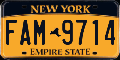 NY license plate FAM9714