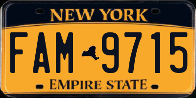 NY license plate FAM9715