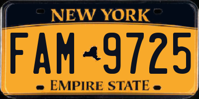 NY license plate FAM9725