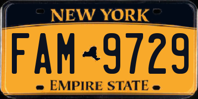 NY license plate FAM9729