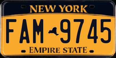 NY license plate FAM9745