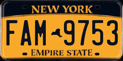 NY license plate FAM9753